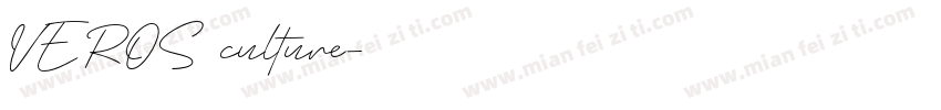 VEROS culture字体转换
